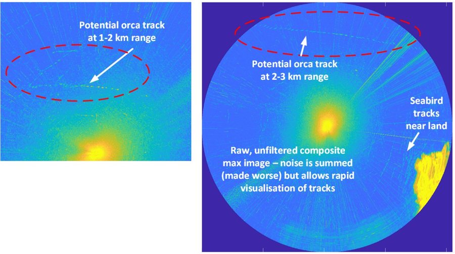 Two RADAR composite images with potential orca tracks circled at 1–2 km and 2–3 km range, and seabird tracks near land